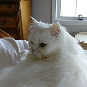 Meet your Posher, Karin